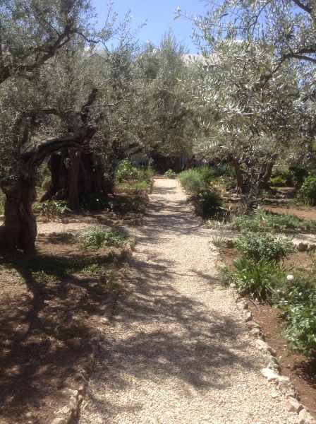 The Garden of Gethsemane