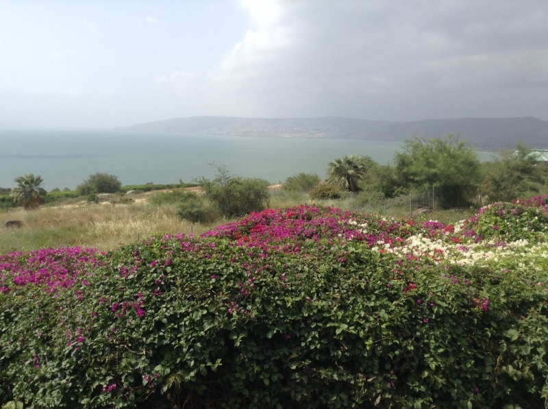The Sea of Galilee from The Mount of Beatitudes
